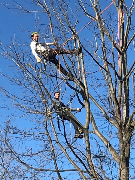CHI SIAMO - Alberi e Giardini Sagl