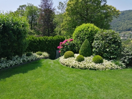CHI SIAMO - Alberi e Giardini Sagl
